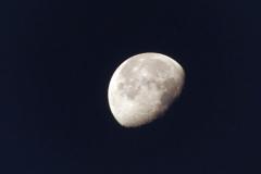 K1024_P1060440.1