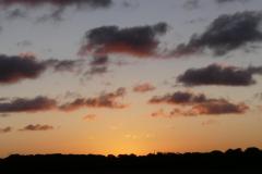 K1024_P1060445.1