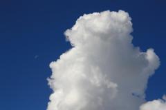 K1024_IMG_8508.1