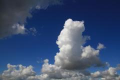 K1024_IMG_8511.1