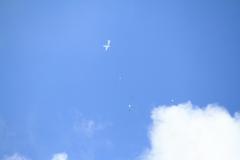 K1024_IMG_8532.1