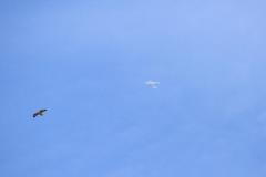 K1024_IMG_8590.1