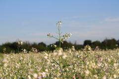 K1024_IMG_7750.1