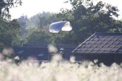 K1024_IMG_7758.1