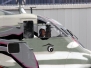 Pink Skyvan 2009