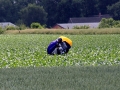 2009_06_20_07.jpg