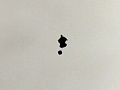 2008_08_08_029.jpg