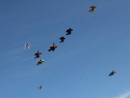 2010_08_13_25.JPG