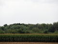 2014_08_29_23.jpg