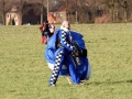 2009_01_31_22.jpg